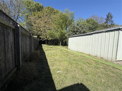 Picture 11